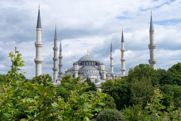 Fototapeta na wymiar Seagull and Renovated Blue Mosque, Fatih Istanbul, Turkey