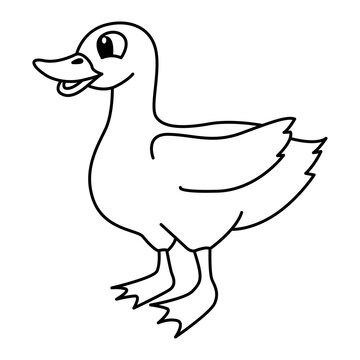 Cute duck cartoon coloring page illustration vector. For kids coloring book.