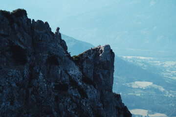 Silhouette mit G&auml;msen
