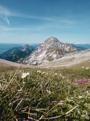 Ausblick auf den Gro&szlig;en Pyhrgas mit Blumen