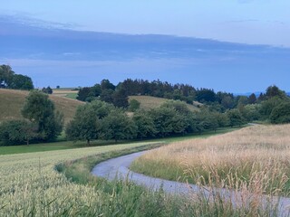 Schmaler Asphaltweg schlängelt sich durch hohe Wiese und Getreidefeld. Im Horizot brauner Hügel...