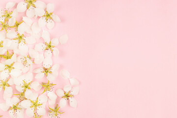 Sweet fresh spring flowers pink background of white petals, pistil and buds of apple tree on gentle pastel pink as vertical border, top view. Wedding tender floral background in simple style.