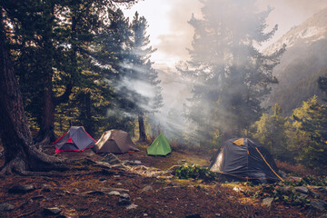 Camping tents in forest. Tourism concept, outdoors leisure. Life in a tent. Pine trees grove camping place stock photo