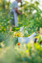 An old woman collects medicinal herbs. Selective focus.