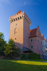 Fototapeta na wymiar Royal Castle in Poznan, Poland 