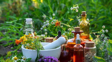 Fototapeta Medicinal herbs and tinctures alternative medicine. Selective focus. obraz