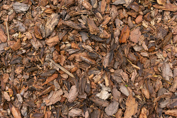 Pine Bark Mulch. A pile of wood chips to be used as landscaping mulch