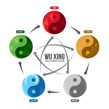 WU XING China is Five Elements Philosophy with fire earth metal water and wood in circle yinyang symbol sign vector design