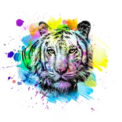 Foto auf Glas Bright abstract colorful background with tiger, paint splashes © reznik_val