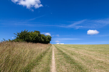 Fototapeta na wymiar Looking up a trail towards the brow of a hil, on a sunny summer's day in Sussex