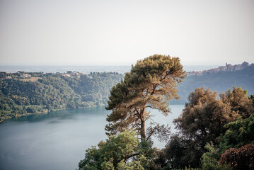 Panoramic view from the hill overlooking the stone pine trees and the volcanik Nemi lake in Italy