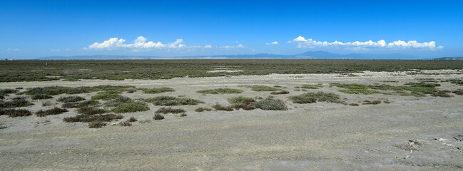 Ausgetocknete Salzwiese (Axios-Delta, Griechenland) //  stocked salt marsh (Axios Delta, Greece)
