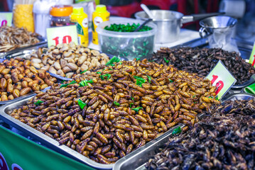 Thai food deep fried spicy silk worms and insects at night street food market, soft selective focus