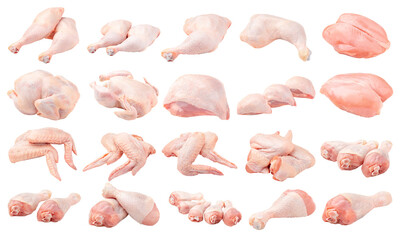Isolated whole raw chicken parts collage on white background - obrazy, fototapety, plakaty
