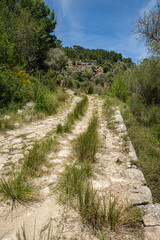 cami Vell de Estellencs, Puigpunyent, Mallorca, Balearic Islands, Spain