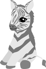 Baby zebra animal cartoon vector illustration