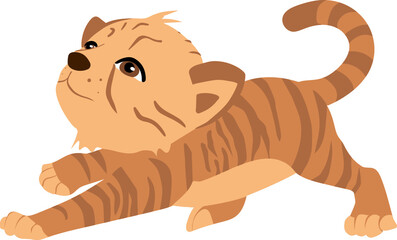 Sweet baby tiger, cute tiger, safari animals 