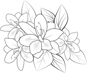 abstract flower illustration