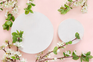 Round Podium with flowering apple branches for product presentation. Abstract minimal geometrical form on pink background. One Showcase, white flowers, soft shadow. Scene, display. Top view, Flat lay