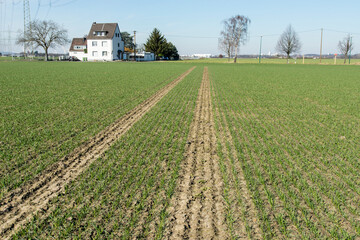 Frisch bestelltes Feld mit Haus