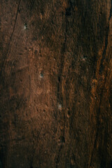 embossed texture background of brown bark