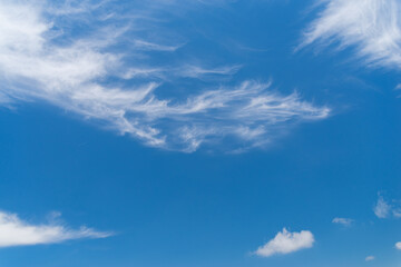 Obraz premium 青い空