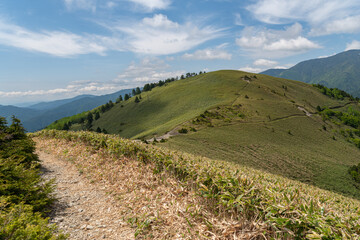 Fototapeta premium 爽やかな高原 富士見台高原