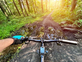 Fototapeta na wymiar First-person riding a bike in the woods after the rain. MTB race in the forest. Concept of having leisure time outdoors. Rural adventures in the summer