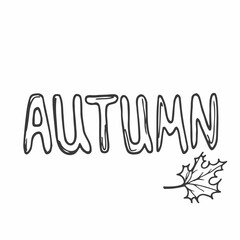 Autumn lettering vector. Hand drawing phrase. Decor menu or sale slogan. Design typographic sketch. Decoration modern saying. Black calligraphy text