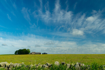 Farm on the horizon in a summer landscape, Northumberland, UK