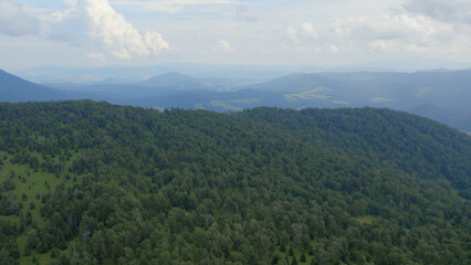 Naklejka premium Green forest on mountains of Manzherok under white clouds