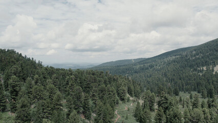 Green forest and mountains under blue sky with white clouds