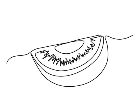 recommend clip art: one line kiwi fruit illustration drawing. line art kiwi piece abstract vector