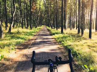 Front view bicycle road bicycle handles with forest tree background in curonian spit route way. Famous holiday cycling destination in Lithuania