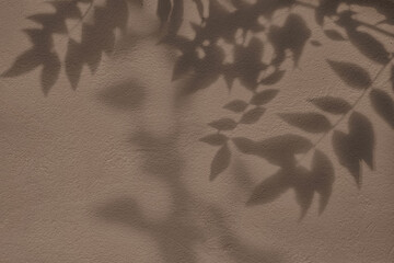 Abstract tree leaves shadows on brown concrete wall texture with roughness and irregularities. Abstract trendy colored nature concept background. Copy space for text overlay, poster mockup flat lay 