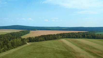 Fototapeta premium Green forest and rural field with blue sky in summer time