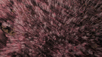 Closeup of fantasy pink autumn forest