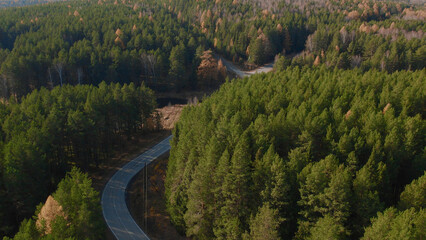 Fototapeta premium Closeup road between yellow and green autumn forest