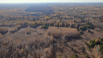 Fototapeta na wymiar Fields and yellow trees in autumn time in Ural