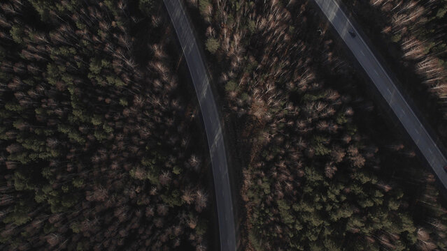 Curve of highway road between deep forest © TravelFlow