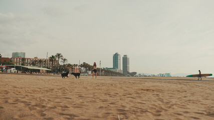 Lunch time. cute girl is sitting on the sand on the beach with her pet testing sandwich. The girl treats her dog with sandwich. Lunch on the beach on modern city background