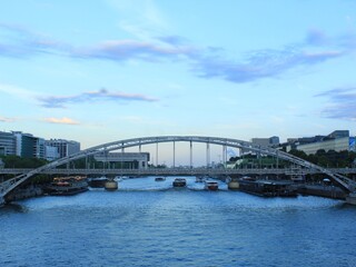 Naklejka premium Paris au coucher de soleil 