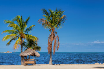 Palm trees and straw umbrella in sunset beach state park in tropical island in Florida Keys