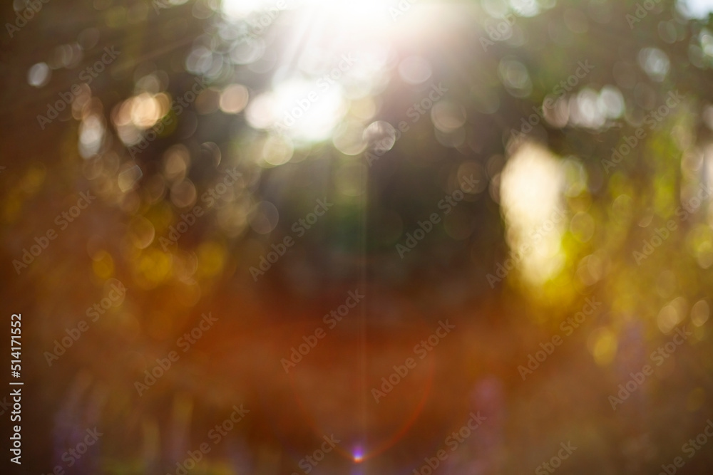 Wall mural spectrum and glare from the sun's rays in the forest. abstract background