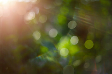 sunbeams in a green garden with defocused lights. Use in overlay mode
