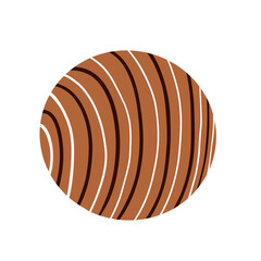 Chocolate candy on a white background.