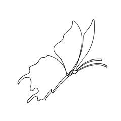 butterfly one line illustration. line art butterfly drawing vector