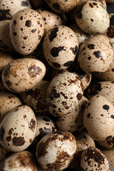 Obraz premium Many fresh quail eggs as background, closeup