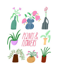 Vector collection of flowers in vases and potted plants. Lettering "Plants & Flowers". Botanical, floral illustration. Leaves, blossoms. Decorative elements. For cards, posters, stationary.