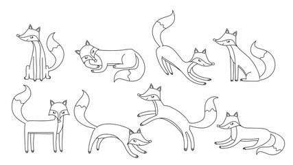 fox animal vector line set.